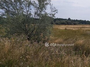 Eladó mezogazdasagi ingatlan Újlőrincfalva