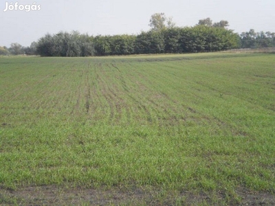 Szántó-legelő földterület mely 2500 m2 eladó