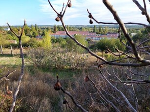 Eladó Ház, Baranya megye Pécs