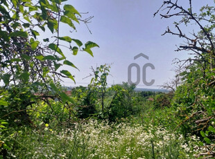 For sale agricultural property