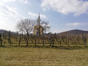 Eladó mezőgazdasagi ingatlan