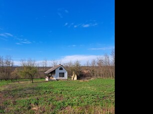 Eladó mezogazdasagi ingatlan Bakonyszombathely