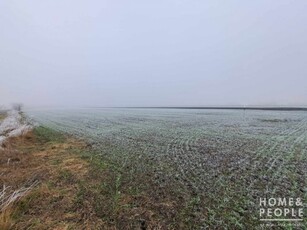 Eladó mezogazdasagi ingatlan Röszke