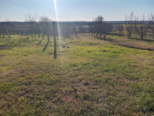 Eladó Telek, Fejér megye Lepsény Szőlőhegy, Táj panorámás