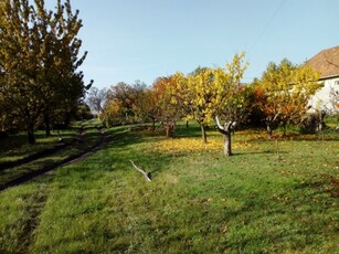 Eladó telekBudapest, XXII. kerület, Diótörő út