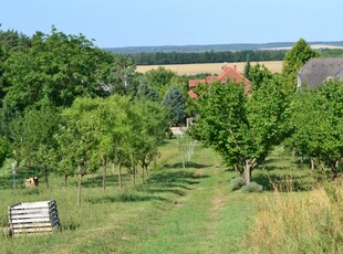 Eladó családi házSiófok