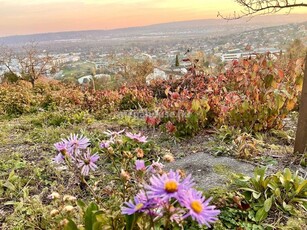 Eladó telekBudaörs