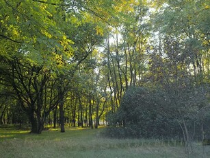 Eladó telekFülöpháza