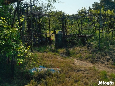 Győr Ipari Parkban hétvégi telek, kis házzal eladó