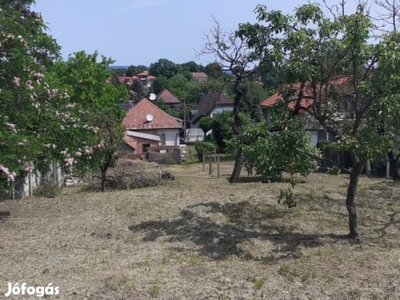 Nagy telek, kedves kis ház, több lehetőség!