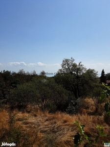 Balatonalmádi üdülőövezeti 740nm-es panorámás telek eladó! - Balatonalmádi, Veszprém - Telek, föld