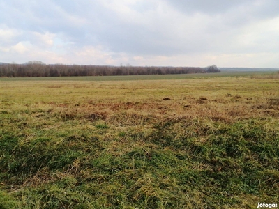 Balatonszetgyörgön 4 db építési telek zöldövezetben - Balatonszentgyörgy, Somogy - Telek, föld