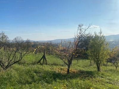 Eladó általános mezőgazdasági ingatlan - Miskolc, Nagy László dűlőút