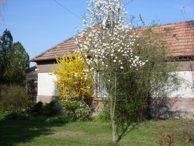 Eladó családi ház - Mosonmagyaróvár, Tó utca