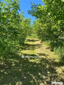 Eladó Mezőgazdasági, Szekszárd - Szekszárd, Tolna - Termőföld