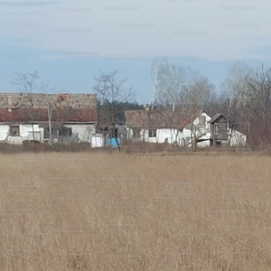 Eladó termőföld, szántó - Zsana, Bács-Kiskun megye