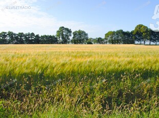 Eladó telek - Kecskemét