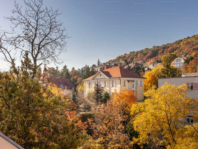 Kiadó családi ház - XII. kerület, Istenhegy