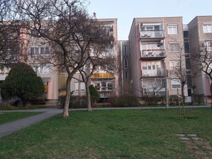 Kiadó téglalakás, albérlet Budapest, XXI. kerület, 1. emelet