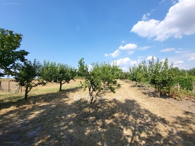 Balatonszabadi, ingatlan, mezőgazd. ingatlan, 1822 m2, 14.500.000 Ft