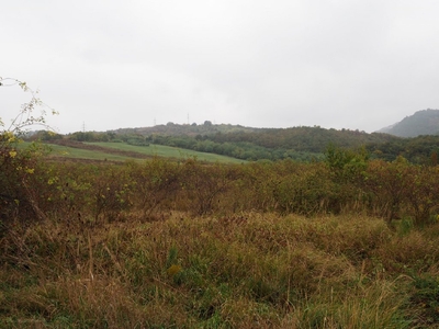 Eger, ingatlan, mezőgazd. ingatlan, 200700 m2, 12.000.000 Ft