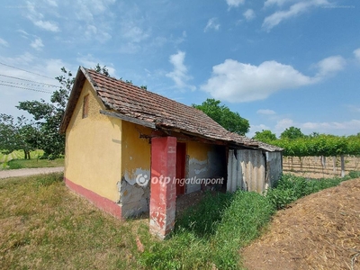 Kiskőrös, ingatlan, mezőgazd. ingatlan, 3215 m2, 3.000.000 Ft