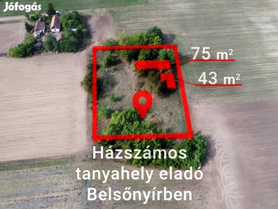 Csendes környezetben 2800 m2 tanyás ingatlan eladó (Videó + térkép)