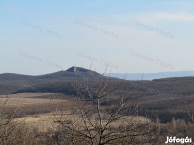 Eladó Balatonra panorámás balatonhenyei zártkerti nyaraló!