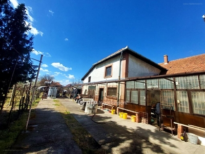 Sándorfalva, ingatlan, ház, 250 m2, 61.900.000 Ft