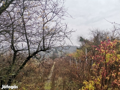 Tatabánya Bódis hegyen panorámás telek eladó.