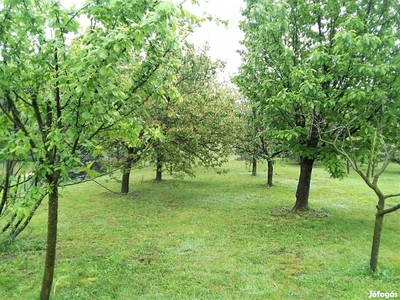 Eladó gyümölcsös Zalaegerszegen - Zalaegerszeg, Zala - Telek, föld