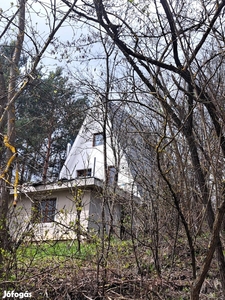Felújított, újragondolt Alpesi ház a Zemplénben! - Erdőhorváti, Borsod-Abaúj-Zemplén - Nyaralók, üdülők