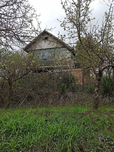 Hétvégi ház, szőlővel, gyümölcsössel Eladó Egerben - Eger, Heves - Nyaralók, üdülők