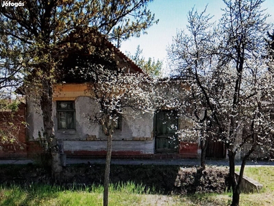 Telek (Bontandó vályogházzal) - Szentes, Csongrád-Csanád - Telek, föld