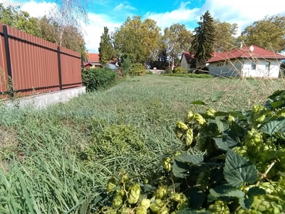 Többlakásos (2-13 db) társasház építésére alkalmas telek Lajosmizsén - Lajosmizse, Bács-Kiskun - Telek, föld