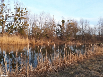 TÓval RendelkezŐ Bakonyi Birtok - Ácsteszér, Komárom-Esztergom - Ház