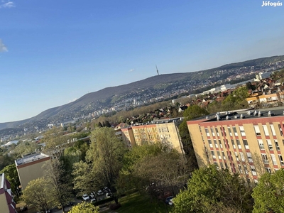 2 szobás panorámás lakás tulajdonostól eladó - Pécs, Baranya - Lakás