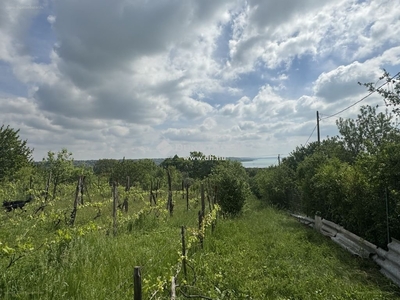 Balatonalmádi, ingatlan, telek, 48.000.000 Ft