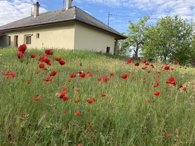 Vacsihegy, Kecskemét, ingatlan, ház, 90 m2, 64.900.000 Ft