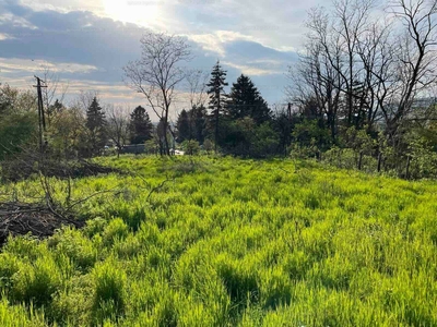 Eladó lakóövezeti telek - Leányfalu, Pest megye