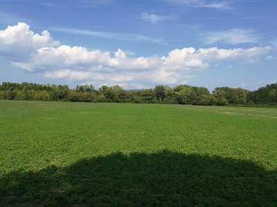 Eladó termőföld, szántó - Pilismarót, Külterület 059/19 hrsz