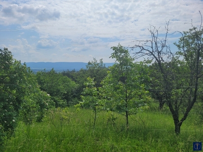 Eladó üdülőövezeti telek - Vác, Gombás