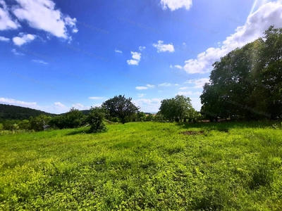 Felsőörs, ingatlan, ház, 3086 m2, 24.900.000 Ft