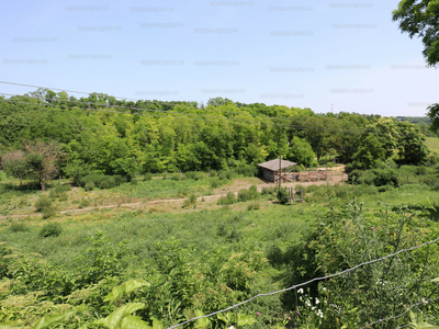 Eladó külterületi telek - Balatonberény, Külterület