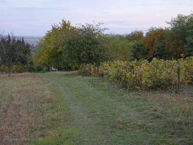 Táp, Táp, ingatlan, telek, 2.200.000 Ft