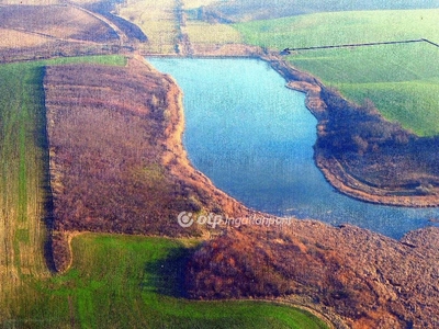 Úri, ingatlan, mezőgazd. ingatlan, 340000 m2, 400.000.000 Ft