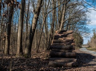 Eladó mezogazdasagi ingatlan Paks, Cseresznyéspuszta