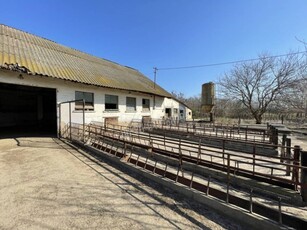 Eladó telek Bölcske, Ady Endre utca