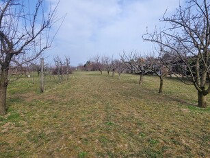 Eladó telek Győrújbarát