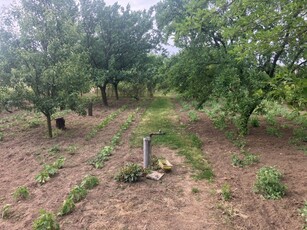 Eladó telek Nyíregyháza, Hadobás sor